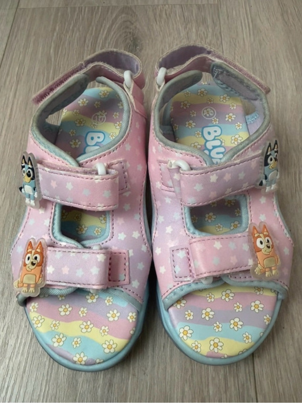 Bluey Sandals